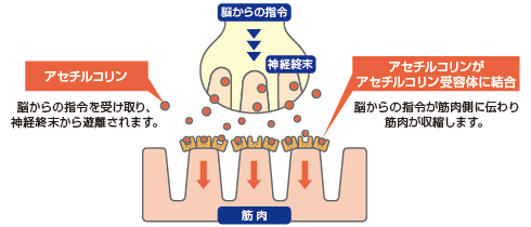 02-01[1].gif